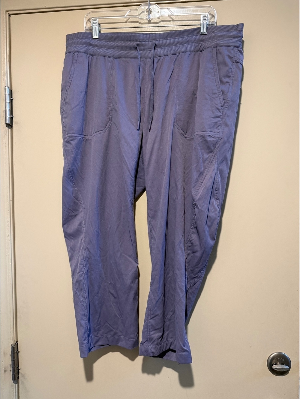The North Face Women's cropped Jogger Pants Size XL Purple